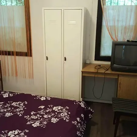 Shungit Dragana Jeftica Br 10 * Belgrade