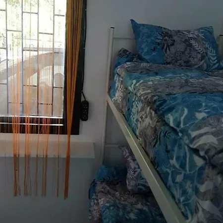 Shungit Dragana Jeftica Br 10 * Belgrade
