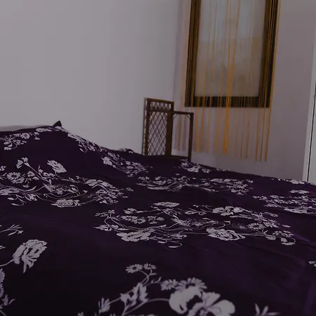 Shungit Dragana Jeftica Br 10 Hostel Belgrade