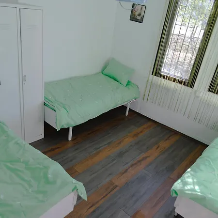 Shungit Dragana Jeftica Br 10 Hostel *